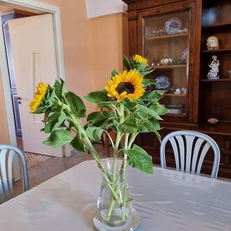 Casa Maria Apartment Magliano ภายนอก รูปภาพ